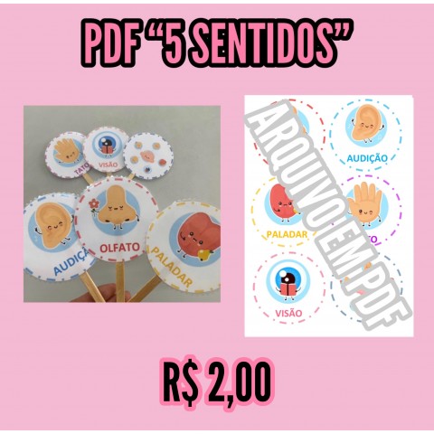 5 sentidos - Arquivo digital